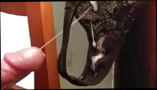 Video 1219459901: cum wanking jerking, dirty girl cum, gay jerks cum, girl friends dirty panties, girl friend cumshot