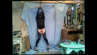 Video 1219796201: cock ball bondage