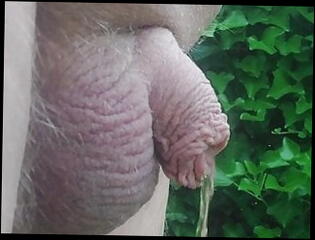 Video 1582074361: grandpa uncut cock, chubby grandpa, uncut cock gay, amateur uncut cock, pissing dicks, uncut cock outdoor, little piss, hd uncut