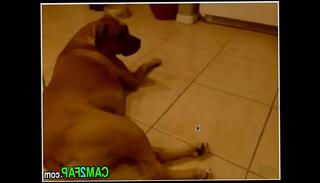 Video 347366435: webcam porn cam, redhead webcam, webcam close