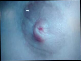 Video 319357301: amateur babe pussy, nipples pussy, straight pussy