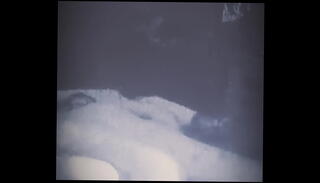 Video 1203205445: facial cumshot, cheating facial