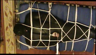 Video 1552516701: latex bondage slave, bondage slave master, bondage gay slave, bondage slave training, cbt slave, cbt massage, cock massage masturbation, cbt jerking, latex couple, slaves big cock, loves massage big cock, hungarian couple