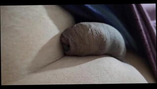 Video 1616338915: gay homemade solo, homemade amateur solo, solo amateur latin, solo first time, brazil gay, penis