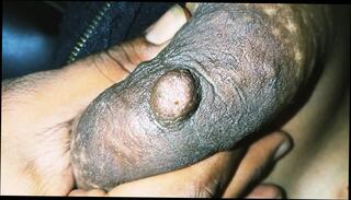 Video 1581786621: hairy pregnant wife, pregnant hairy girl, hairy pregnant teen, indian hairy aunty, pregnant lactating, lactation bdsm, hairy nudist, hairy step mom fucked, lactating tits fucked, aunty big boobs fucked, big boobs aunties sex, indian desi aunty fucking, fuck desi hot aunty, lactating breasts, desi old aunty sex, hindi aunty sex, indian aunty nipples, pregnant asian wife, hairy mothers fucking, nudist straight, hairy teen hd, pregnant 18 year old, nudist school, pregnant lingerie, hairy son, wife india, malaysian indian girl