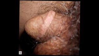 Video 1512512575: dick cock penis, dick small penis, dick large penis