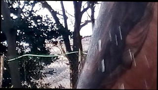 Video 1143605701: latino gay anal, handjob anal, handjob hd