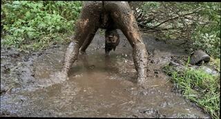 Video 1605913581: gay hairy feet, gay feet fetish, hairy cock solo, solo amateur fingering, hd solo fingering, fetish big feet, hairy cock cumshot, hairy french amateur, feet outdoors, dirty fucking, dirty guy