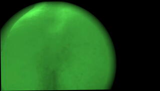 Video 1033301835: crossdresser ass, gay crossdresser, fat sissy, cucumber ass