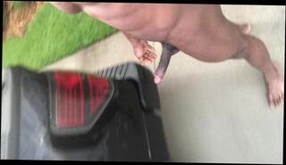 Video 880786603: solo gay amateur, solo gay male, solo male public, solo outside, naked ass, naked boners