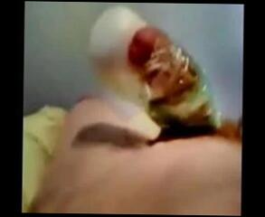 Video 42513701: gay vibrator, vibrating porn, gay porn black man, cock vibrator, cock explode