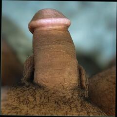 Video 1625755101: gay sex bareback boy, gay bareback anal sex, cock gay bareback sex, bareback teen gay sex, black boys bareback sex, daddy barebacks boy, bareback young gay boy, big cock anal bareback, bathroom bareback boy, indian gay bareback, young man barebacked, bareback hd, indian boy masterbation sex, gay boy sex hindi