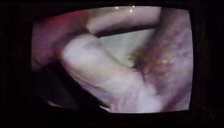 Video 1146759201: amateur homemade suck, sucking amateur straight, amateur sucking old, great amateur homemade, best homemade amateur, good sucking