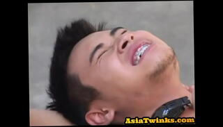 Video 1576408555: twink gay butt fucking, twink gay fucking sucking, gay twink sucking dick, twink gay cock sucking, twink gay sex fuck, twinks fucking ass sucking, twink anal fucks gay, twink amateur sucking cock, gay asian twink fucking, gay twink bj, japanese twink sucks dick, gay twink locker, asian twink blows, gay slim twink, nippon twink