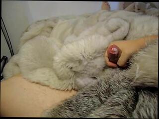 Video 321904701: masturbation gay, soft fucking, loves fucking