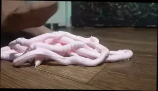 Watch the video about Nylon socks in foam