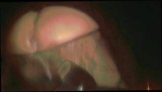 Video 1088884205: dildo ass, public dildo, shemale slut