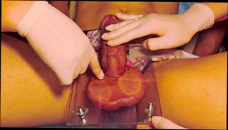 Video 1633150161: cbt femdom bdsm mistress, busting cbt femdom bdsm, mistress whipping slave, mistress humiliates slave, femdom cbt ball busting, slave extreme bdsm, cbt cock ball, ball torment, sounding slave cock, extremely hardcore bdsm, straight humiliation, destruction slave, slave deep, slave hands, romanian mistress, hungarian mistress, slave hd, urethral sounding, cock deeper