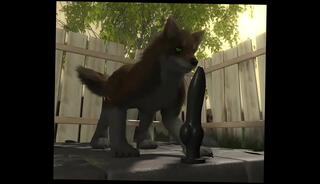 Video 1616415345: gay furry, dog dildo