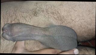 Video 1605238911: solo gay boy masturbates, solo cock masturbation cum, solo boys cumshots gay, solo gay sex boy, dick solo masturbating cumming, masturbation indian boy solo, solo boy big cock, young boy solo masturbation, solo masturbation hard cock, solo boy handjob, solo masturbation blowjob, monster black cock solo, solo man big dick, penis solo, solo masturbation hd, muscular solo, rough solo, boy playing cock