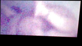 Video 1062375601: big ass pawg milf, big tit pawg milf, big ass milf interracial, blonde milf pawg, big tit old milf, milf young big tit, big ass milf hd, straight interracial, pawg friend, pawg party, friend step mom