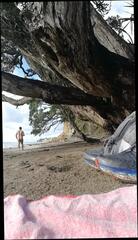 Video 340352801: man gay, nude