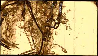 Video 286583601: big tits pov blowjob, pov blowjob cumshot, cosplay pov blowjob, hd pov big tits, big boobs pov, pov straight, boy cut