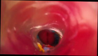 Video 1567198395: pov fleshlight fuck, solo fleshlight fuck, fetish bukkake fuck, tiny pov, solo fetish play, fleshlight fuck cum, tiny dick cum, tiny cock cum, big dick fleshlight fuck, fucking fleshlight toy, giant pov