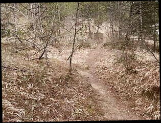 Video 1604889311: hairy solo cum, solo hairy masturbation, hairy dick solo, hairy cock solo, hairy solo gay, hairy teen solo, hairy bear solo, hairy men solo, hairy man solo, solo gay boy masturbates, hairy boy gay sex, solo boys cumshots gay, amateur teen solo masturbation, young boy solo jerking, hairy naked gay men, hairy nude men gay, solo teen masturbating outdoors, nude gay love solo, hairy cock big balls, teen solo masturbation hot, solo handjob cum, solo teen masturbation hd, handsome boy solo, bisex boy, white solo masturbation, european solo masturbation, solo sperm, hairy romanian, hairy family, perfect masturbation