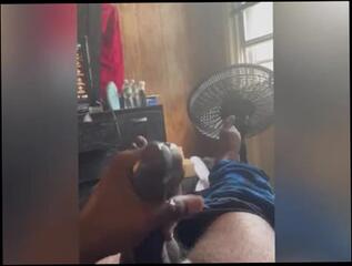 Video 1570713993: bbc pawg creampie, bbc pawg interracial, amateur wife interracial creampie, bbc solo moaning, bbc creampie cum, interracial black cock bbc, dripping interracial creampie, bbc solo jerk, bbc solo cumshot, solo bbc masturbation, solo male bbc, bbc creampie big, dick solo masturbating cumming, cock cum hard solo, bbc long dick, bbc jerkoff, bbc tease, bbc precum