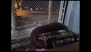 Video 1625894033: fetish gay solo, cage pov, solo gay amateur, fetish male gay, gay asian solo, solo male public, heels fetish