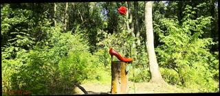 Video 1623681871: crossdresser sissy fucks dildo, crossdresser pantyhose dildo fuck, sissy crossdresser compilation, crossdresser dominated mistress, bdsm domination mistress, milf retro vintage, crossdresser compilation cum fuck, sissy swallows cum compilation, crossdresser sissy ass fucked, shemale anal dildo compilation, crossdresser anal dildo toy, amateur milf cumshot compilation, sissy crossdresser trans, sissy anal training compilation, big ass sissy crossdresser, sissy crossdresser blowjob, crossdresser dildo masturbation, milf fucks huge dildo, amateur mature milf compilation, vintage retro porn, milf webcam dildo, crossdresser pantyhose legs, crossdresser pantyhose stockings, pantyhose hd compilation, young sissy crossdresser, beautiful shemale cum compilation, sissy spanked fucked, anal fucked extreme dildo, crossdresser blowjob cum mouth, striptease dildo fuck, milf teacher fucked, milf ass fucked outdoor, crossdresser masturbating high heels, fucking long dildo