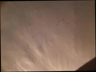 Video 315163901: dildo, riding toys cumming, riding sex toy, toy masturbation cum, gay sex riding, sex toy handjob, sperma