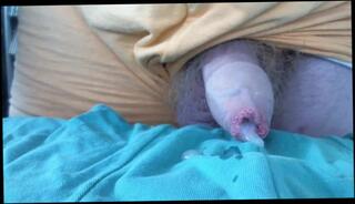 Video 211932901: cock masturbation cum, gay masturbation cum, amateur masturbating cumming, man masturbate cum, small cock cum, webcam cum