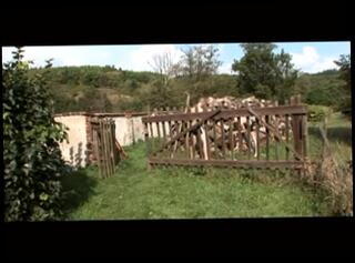 Video 5167604: rimming gay sex, foursome rimming, group rimming, rimming hot, fingering, anal