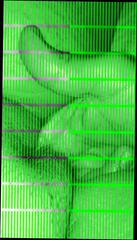 Video 326671801: chubby wifes pussy, chubby amateur wife, british chubby wife, chubby nipple, straight chubby, chubby uk, hd chubby