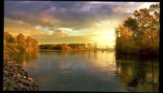 Video 1578482753: solo fetish play, fetish domination, daddy solo cum, sexy solo orgasm, solo amateur cum, solo male moaning, erotic domination, fantasy solo play