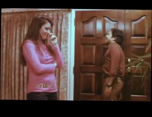 Video 741049904: candida royalle, ron jeremy, merle michaels, eric edwards, samantha fox, marlene willoughby, sharon mitchell, arcadia lake, veronica hart, vintage