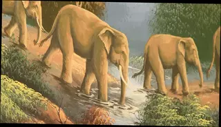 Video 1577930601: interracial doggy style fuck, interracial doggy style amateur, doggy style massage, saggy tits ass fucked, sucking dick fucked doggy, cock sucking doggy fuck, teen ass fucked doggy, big saggy tits fucked, teen massaged fucked, licked fucked doggy style, nylon teen fucks, doggy style fucking blowjob, doggy style fuck facial, brunette teen fucked doggy, doggy style ass cumshot, small tits teen interracial, interracial black cock fuck, european teen doggy styled, german big saggy tits, teen massage hd, straight massage, sports massage, doggy style african, giant saggy, bbc, teenie, anal, hardcore