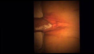 Video 240982501: pie creampie, amateur creampie, creampie straight, creampie slow, creampie close, amateur cream pie