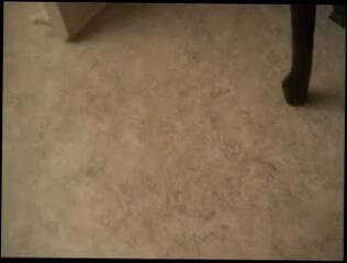 Video 56703101: amateur girl masturbating, girl masturbates home, girl masturbating first, girl masturbation close, masturbating straight