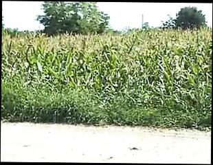 Video 190449901: sheila stone, double penetration bang, gangbang double penetration, cougar banged, black cock double penetration, double penetration big dicks, double penetration butt, big ass double penetration, double penetrated blowjob, blonde cougar blows, bang straight, brazil gangbang, very big black dick