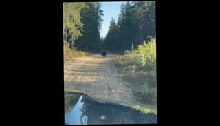 Video 1600473593: nudity nude, amateur solo male, solo male public, solo natural, 60fps amateur