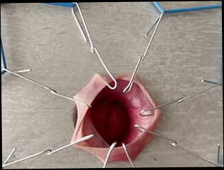 Video 1601398941: bdsm gay porn, bdsm handjob, bdsm funny