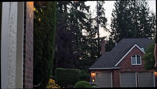 Video 1653892711: american nude