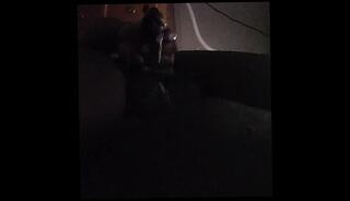 Video 1633364243: bbc solo male cumshot, solo masturbation chubby, chubby amateur solo, dick amateur bbc, solo man masturbation cumshot, bbc explodes