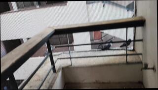 Video 1655992801: femboy interracial bbc, boys interracial bareback gay, gay interracial handjob bbc, interracial handjob bbc blowjobs, gay interracial bbc fucking, bareback interracial gay sex, interracial black cock bbc, vintage gay bareback, amateur bbc bareback, interracial bbc teen, monster bbc bareback, interracial bbc big black, hot interracial bbc, daddy fucks boy bareback, gay interracial handjobs dick, bbc boy friend fucking, older daddy dick bareback, bbc boy toy, fuck young boy bareback, monster cock bbc masturbation, bareback fucking gay man, vintage amateur nudes, bathroom bareback boy friends, breeding bareback boys, bbc indian boys, teen femboy old man, bodybuilders fuck bbc, vintage dads, bbc public masturbation, bbc fuck mature, fucking bareback hd