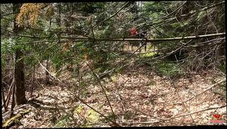 Video 300530001: gay twink blowjob, twinks outdoor blowjob, asian twink blowjob, gay twink hd, twinks outside