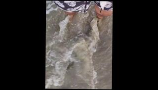 Video 1618700273: feet pov foot, feet fetish solo, foot fetish dirty talk, gay feet fetish, amateur pov foot, hairy solo gay, bare feet foot, hairy legs feet, male feet foot, latin foot fetish, public foot fetish, gay hairy daddy, hairy latino gay, beach feet