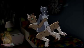 Video 1162101445: furry porn animation, furry gay animation